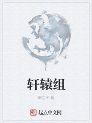 轩辕组