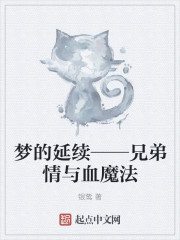 梦的延续——兄弟情与血魔法