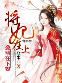 将妃在上爷在下